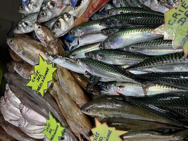 Vente de poissons à Jard–sur–Mer