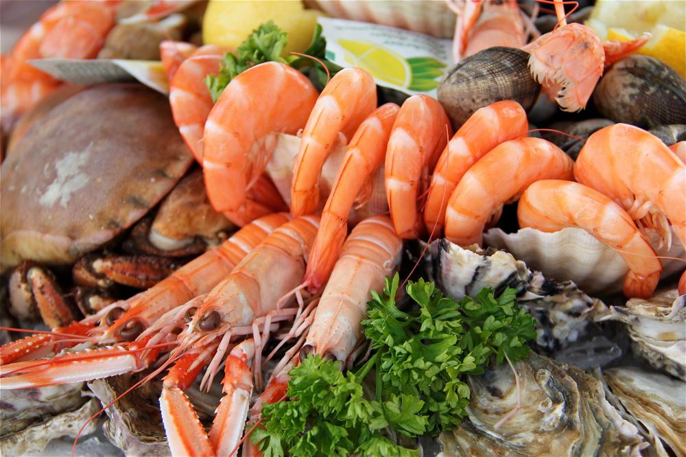 Poissonnerie à Jard–sur–Mer