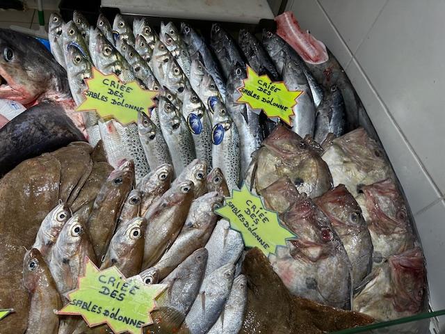 Poissons à lal vente